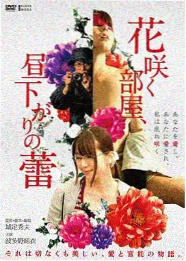 开心短剧剧场免费观看-总裁的隐婚甜妻
